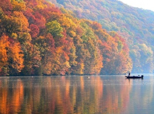 Fall Fishing