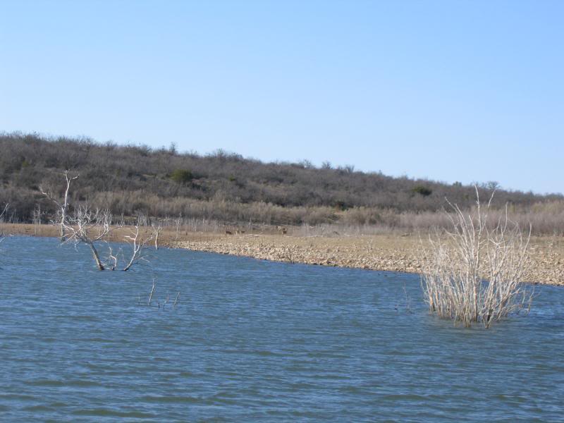 Fishing O H Ivie Lake Texas Fishing Fishing O H Ivie Lake Texas Fishing