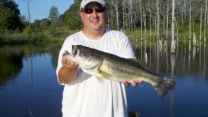 Bob-Fork bass