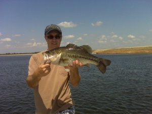 Rob-Fork bass