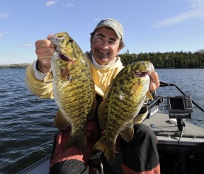 Gord - Bass