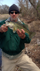 robrowlettebass.png