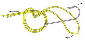 Palomar Knot