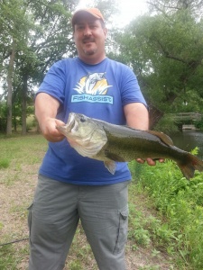 Bob's June Bass