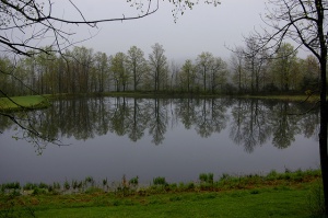 Farm Pond