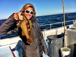 Ocean Fish