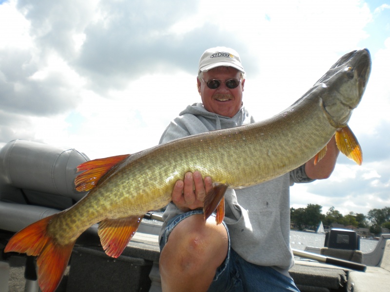 How to fish for Musky…….